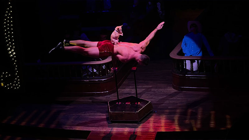 Atomic Saloon Show (Credit: Jeremy Koering)